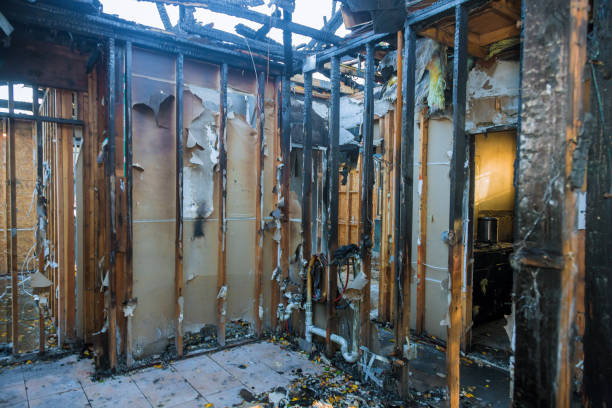 Professional Fire Damage Removal technician working in The Pinery, CO